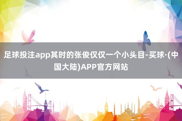足球投注app其时的张俊仅仅一个小头目-买球·(中国大陆)APP官方网站