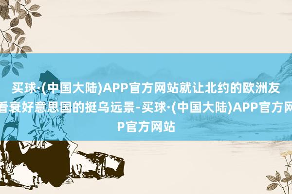 买球·(中国大陆)APP官方网站就让北约的欧洲友邦看衰好意思国的挺乌远景-买球·(中国大陆)APP官方网站