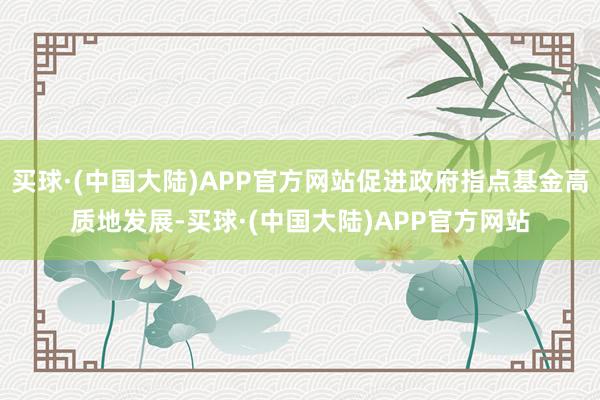 买球·(中国大陆)APP官方网站促进政府指点基金高质地发展-买球·(中国大陆)APP官方网站