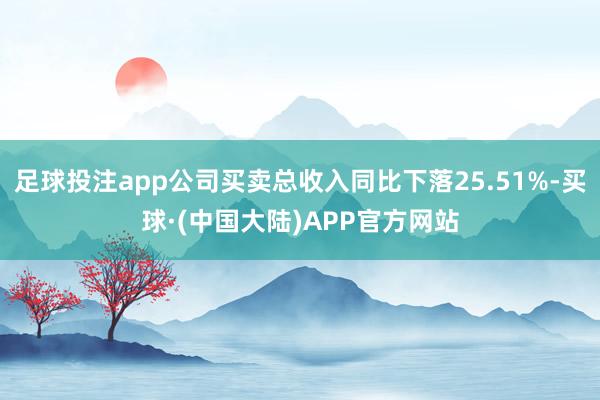 足球投注app公司买卖总收入同比下落25.51%-买球·(中国大陆)APP官方网站
