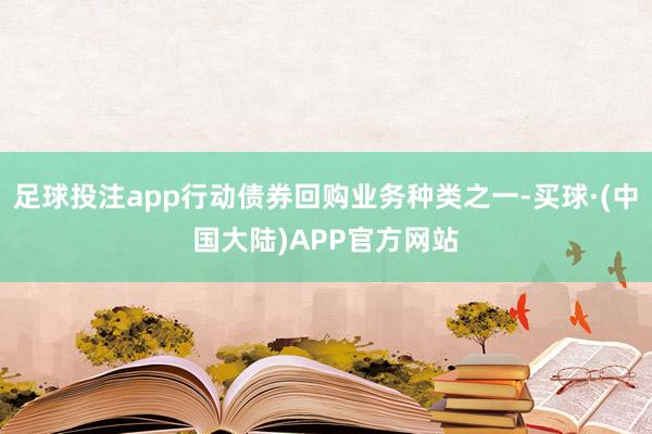 足球投注app行动债券回购业务种类之一-买球·(中国大陆)APP官方网站