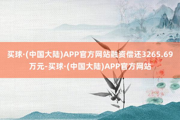 买球·(中国大陆)APP官方网站融资偿还3265.69万元-买球·(中国大陆)APP官方网站