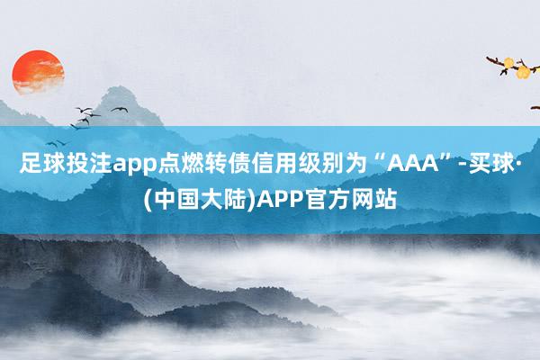 足球投注app点燃转债信用级别为“AAA”-买球·(中国大陆)APP官方网站