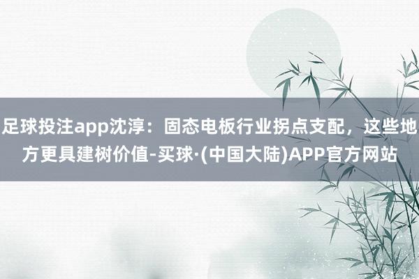 足球投注app沈淳：固态电板行业拐点支配，这些地方更具建树价值-买球·(中国大陆)APP官方网站