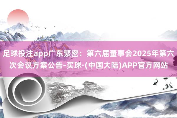 足球投注app广东繁密：第六届董事会2025年第六次会议方案公告-买球·(中国大陆)APP官方网站