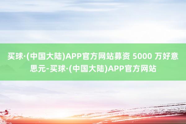 买球·(中国大陆)APP官方网站募资 5000 万好意思元-买球·(中国大陆)APP官方网站