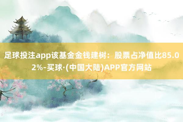 足球投注app该基金金钱建树:股票占净值比85.02%-买球·(中国大陆)APP官方网站