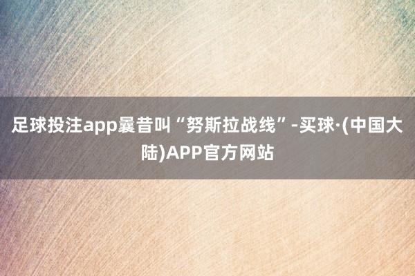 足球投注app曩昔叫“努斯拉战线”-买球·(中国大陆)APP官方网站