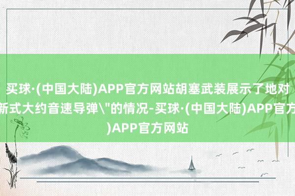买球·(中国大陆)APP官方网站胡塞武装展示了地对地