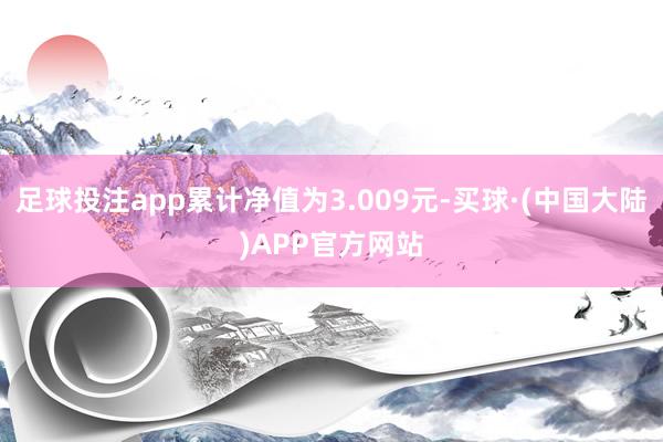 足球投注app累计净值为3.009元-买球·(中国大陆)APP官方网站
