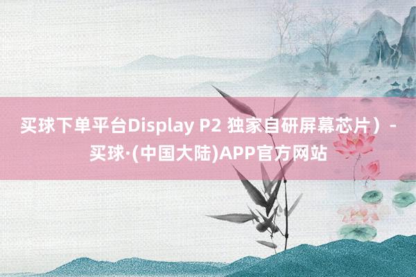 买球下单平台Display P2 独家自研屏幕芯片）-买球·(中国大陆)APP官方网站