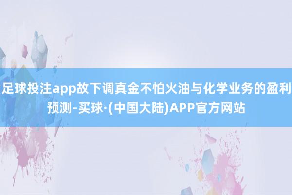 足球投注app故下调真金不怕火油与化学业务的盈利预测-买球·(中国大陆)APP官方网站