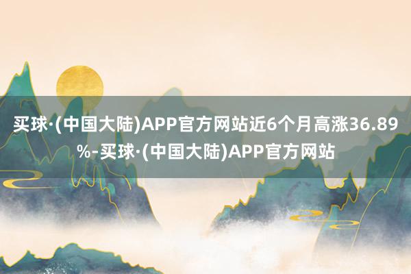 买球·(中国大陆)APP官方网站近6个月高涨36.89%-买球·(中国大陆)APP官方网站