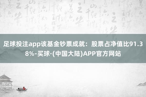 足球投注app该基金钞票成就：股票占净值比91.38%-买球·(中国大陆)APP官方网站
