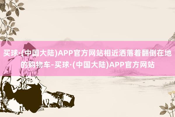 买球·(中国大陆)APP官方网站相近洒落着翻倒在地的购物车-买球·(中国大陆)APP官方网站